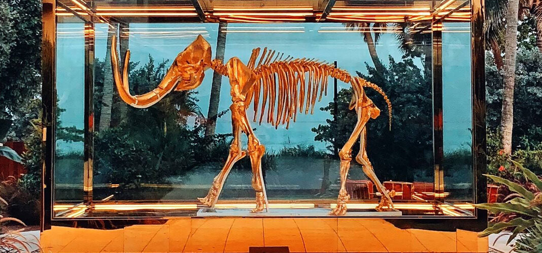 Photo-by-Muzammil-Soorma-on