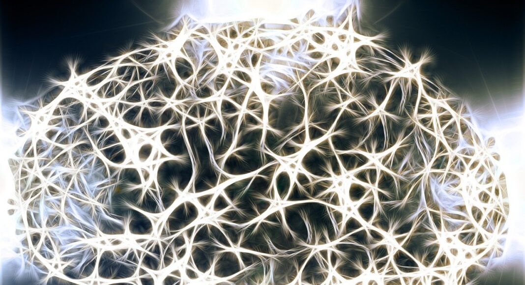 neurons-1739997_1280