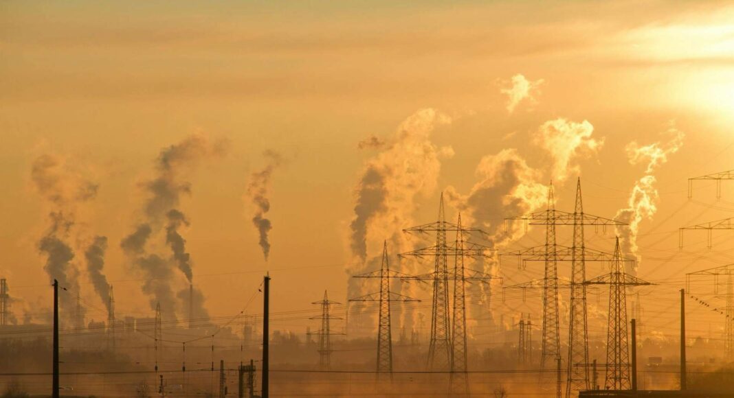 pexels-pixabay-221012