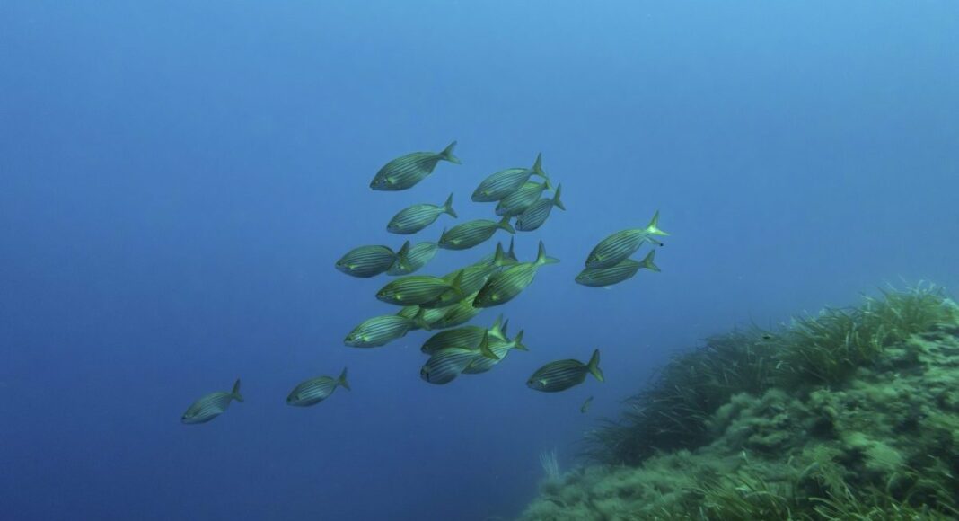 ap25159031514487-scaled-e1758216590384