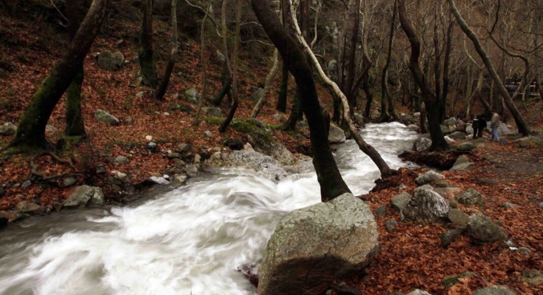 1491512-scaled-e1761643616914