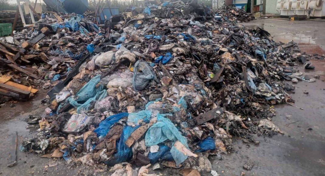 28102025gadthripansi-4-1