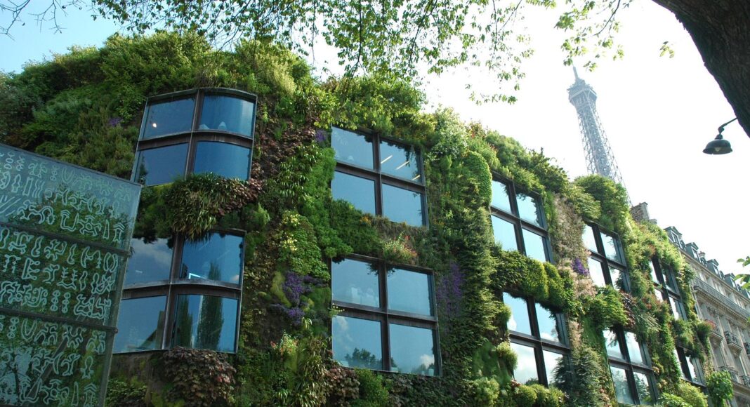 2643610862-6bd6b0a2fb-h