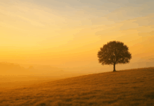 Το κενό στη ζωή μου…