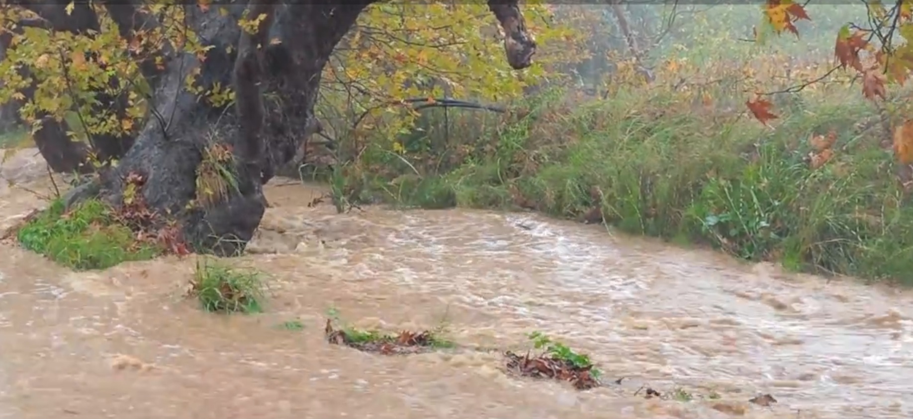 screenshot-20251105-140504-gallery